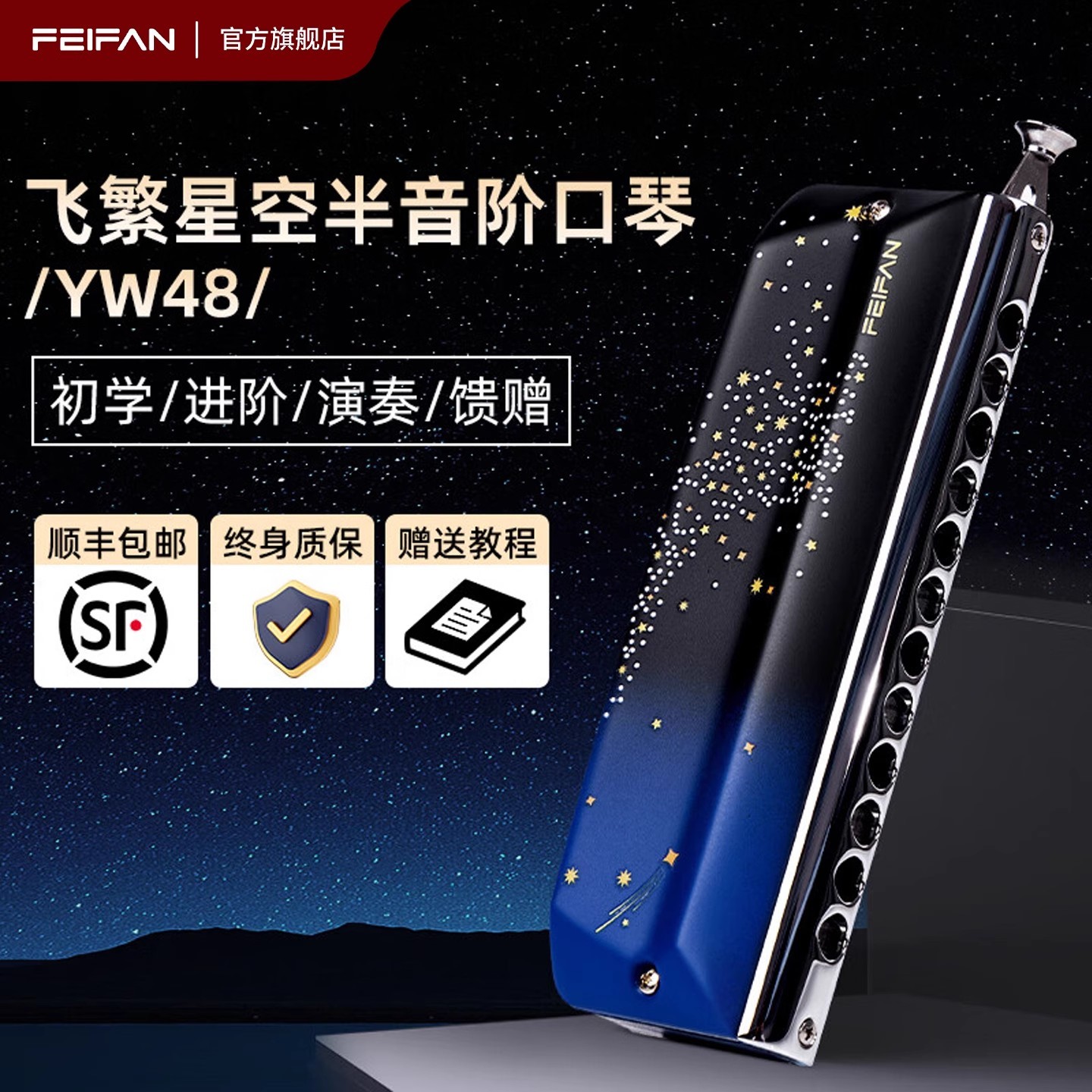 FEIFAN/飞繁仰望星空12孔半音阶口琴高档YW48专业演奏成人初学者