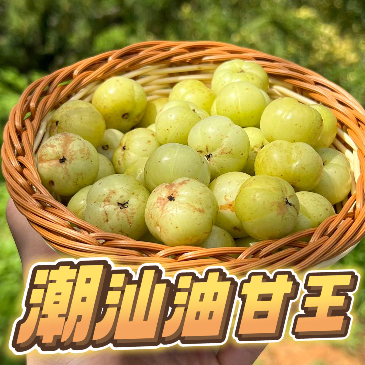 潮汕金灶柿饼甜种油甘中大果 生吃回甘甜 煲汤榨汁 1斤起包