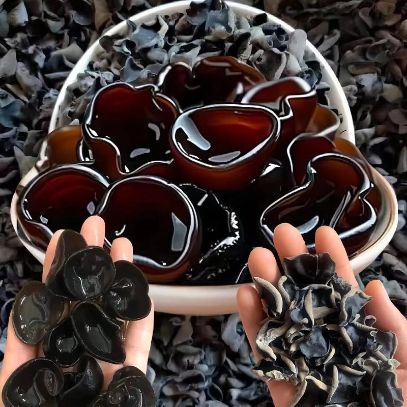 东北秋木耳肉厚无根长白山椴木特产净重500克/袋，试吃100克