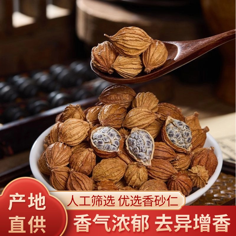 香砂仁 川砂仁 砂仁川砂仁金砂仁烧菜卤肉料炖肉去腥