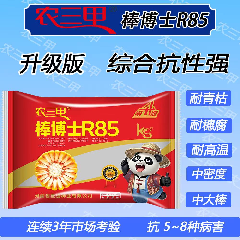 棒博士R85升级版（农三甲）抗穗腐长马齿红轴大棒抗病抗倒高产正品