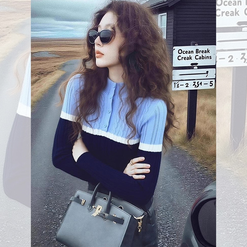 别致独特漂亮蓝色半开领针织小衫女装秋冬洋气入冬漂亮内搭上衣服