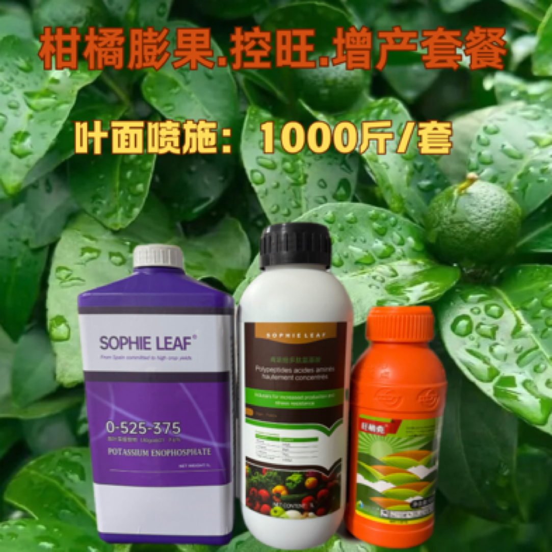 柑橘花芽分化控梢促老熟套餐