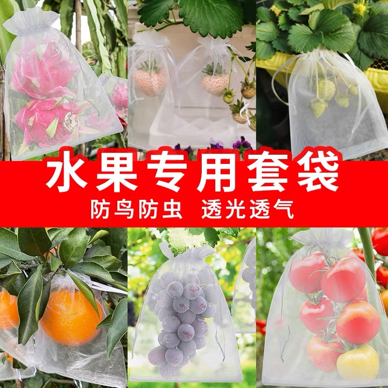 番茄套袋西红柿苗专用袋防虫防鸟透气蔬菜草莓蓝莓桃通用水果网袋