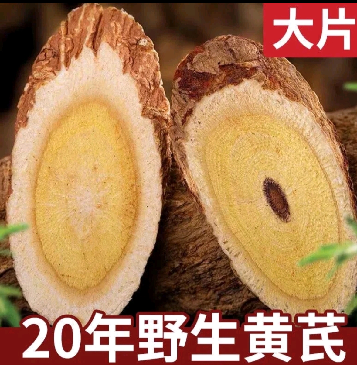 高原采挖老黄芪主根大片20—25年左右甘肃原产地党参产地直销
