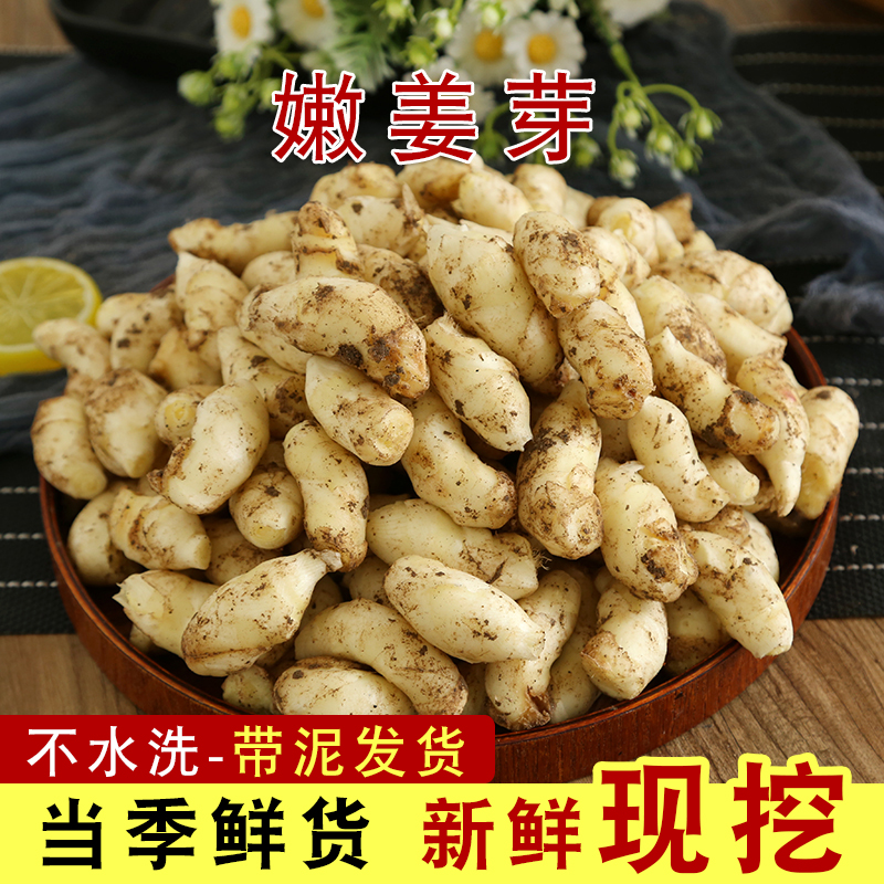 嫩姜芽仔姜新鲜包邮子姜鲜姜5斤/3斤山东腌制糖醋嫩生姜泡菜姜芽