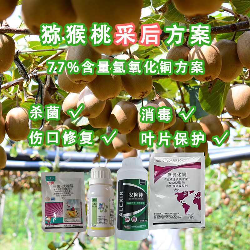 猕猴桃果园采后专用杀菌防溃疡褐斑炭疽病消毒保叶配方