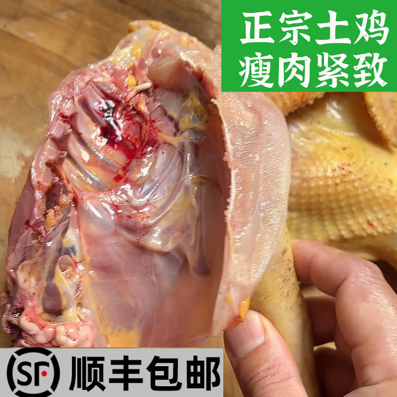 顺丰老母鸡专场正宗湖南小脚土鸡农家散养生态母婴炖汤走地跑山鸡
