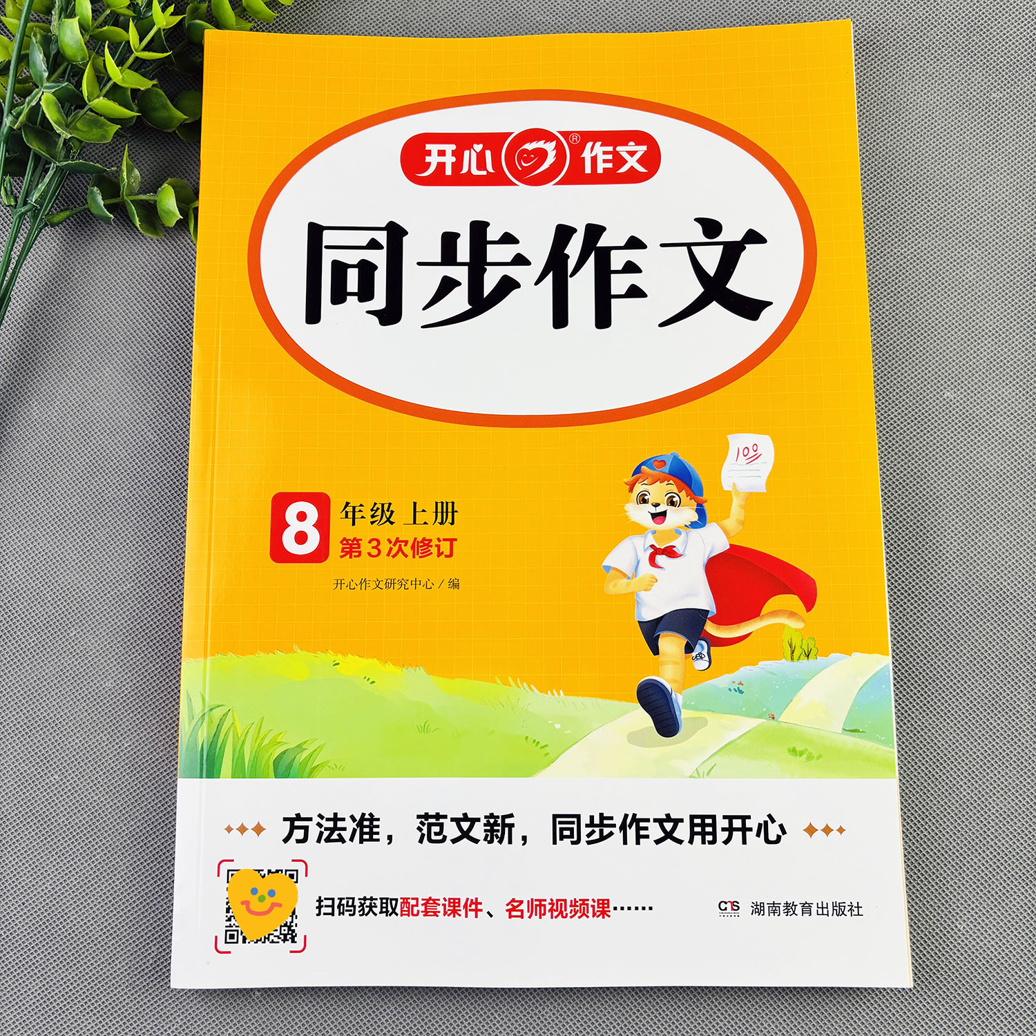 八年级上册同步作文作文大全好词佳句初二上册作文辅导书