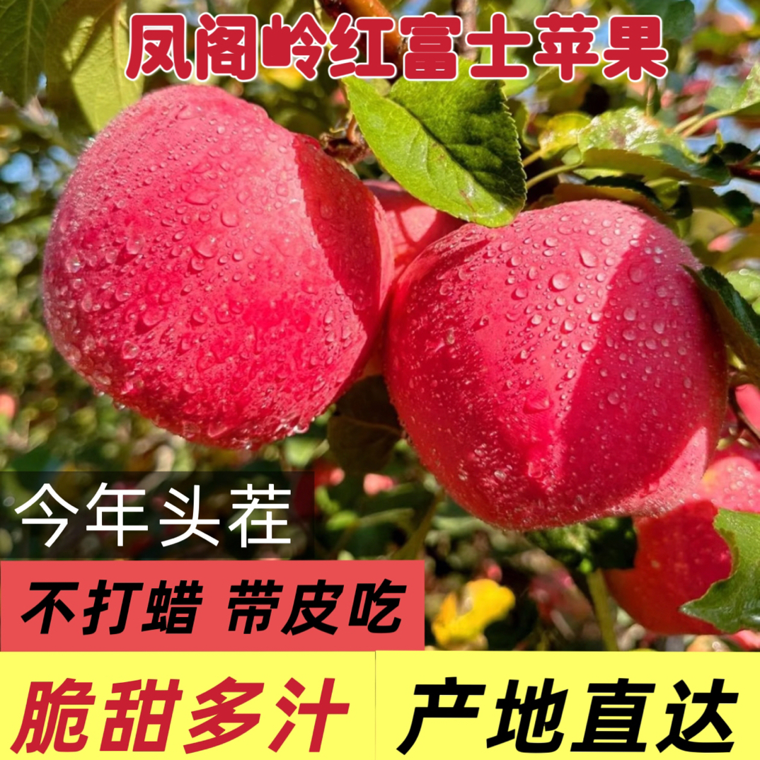 凤阁岭红富士苹果精品国王18颗装