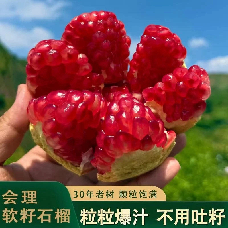 正宗会理突尼斯软籽石榴整箱5/9斤爆甜多汁新鲜应季水果坏果包赔5