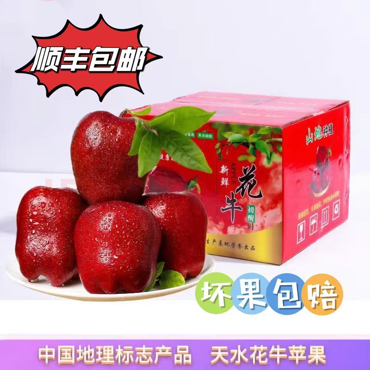 甘肃天水花牛苹果4.5-9斤新鲜采摘红色脆甜现摘现发