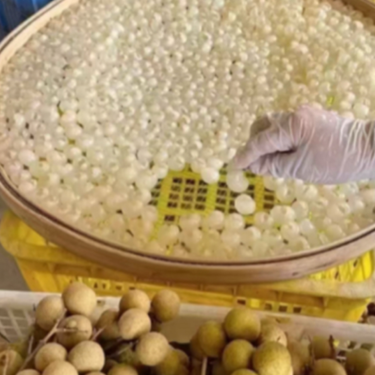 高州新鲜出炉桂圆肉鲜果烘焙的龙眼干龙眼次日达