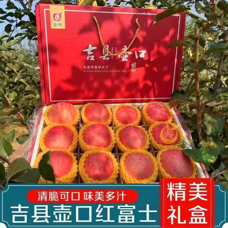 《礼盒装》正宗吉县红富士苹果，80mm-100mm果