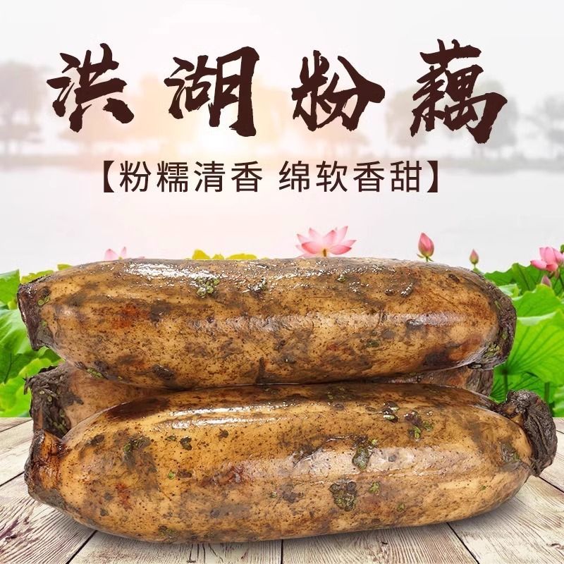 洪湖新鲜煲汤粉藕现挖现发粉糯香甜湖北洪湖特产九孔藕湖藕泥藕