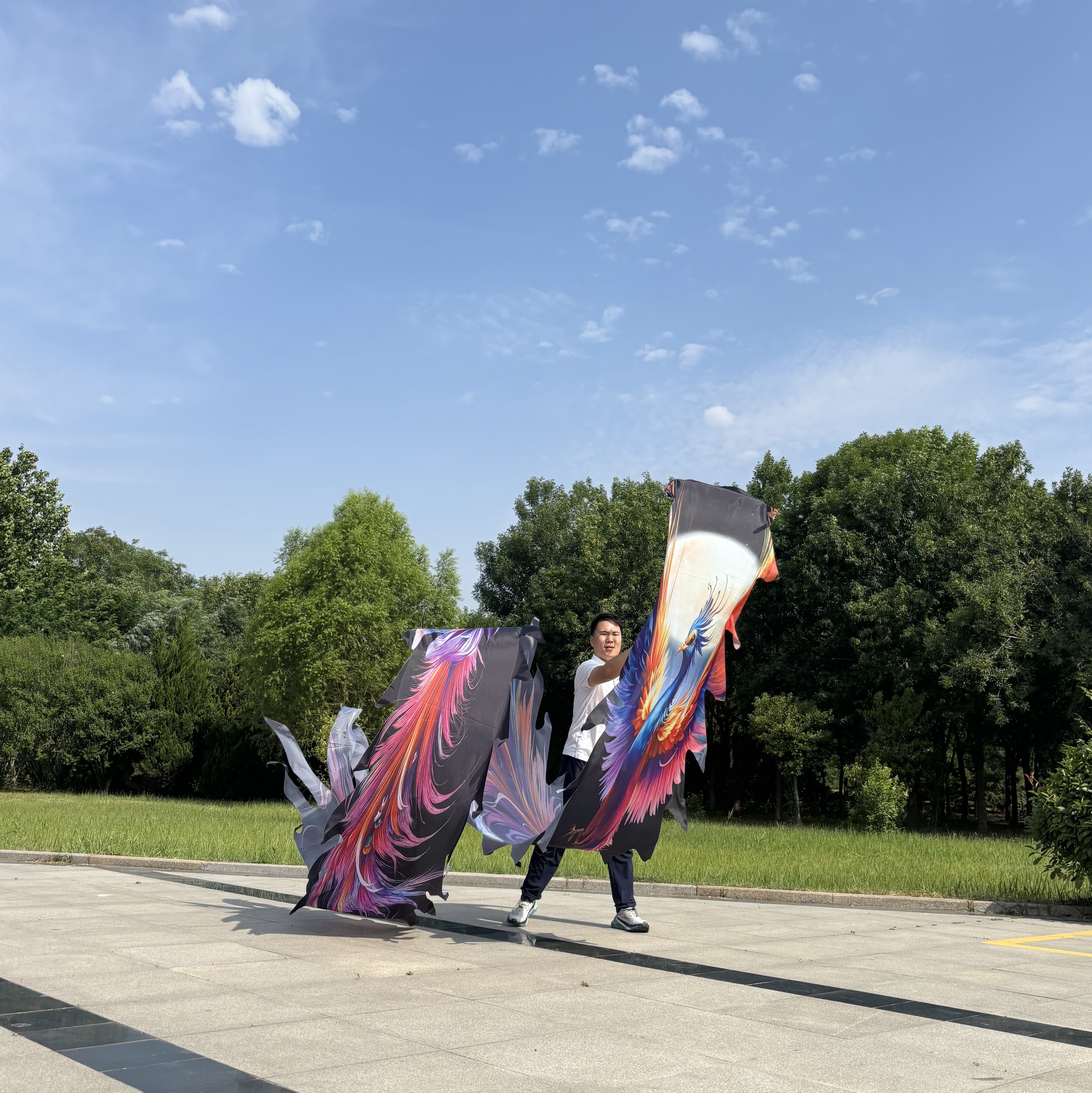 国腾新款紫翎凤舞龙不锈钢镂空彩带龙头一体彩绸健身龙8米全套