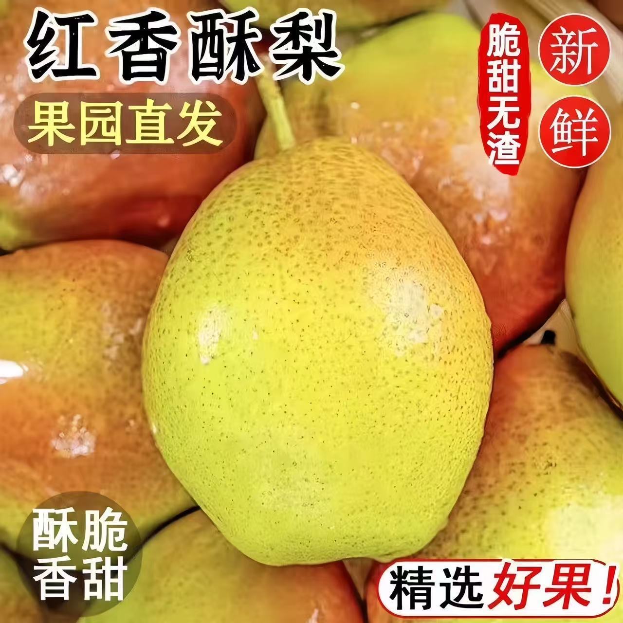新鲜红香酥梨子水果新鲜高山当季早熟脆梨薄皮脆甜多汁玉露雪梨