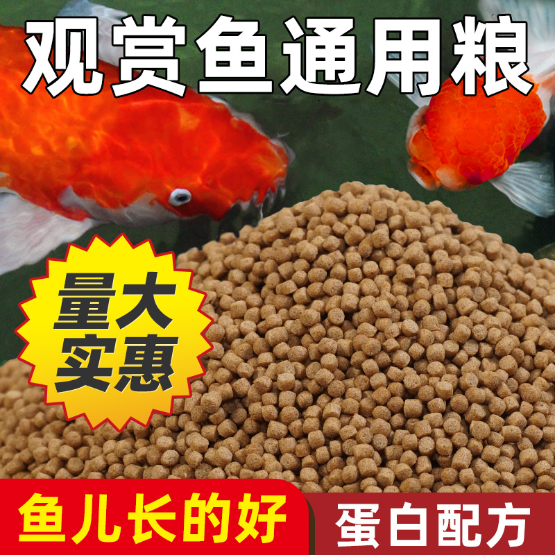 锦鲤鱼饲料鱼食小颗粒金鱼专用鱼饲料红草金兰寿通用观赏鱼粮鱼料