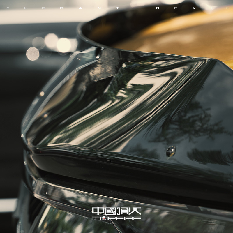 TOPFIRE-方程豹豹5砂虫挡