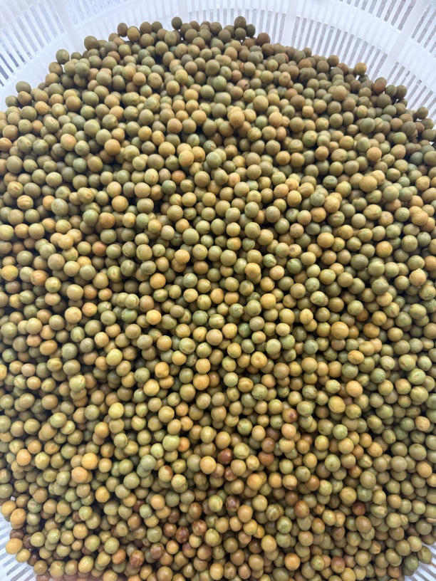 2025年鸡头果一级 打磨10-12毫米（运输中漏气不影响食用）