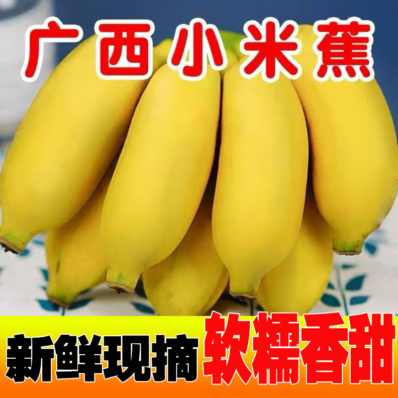 【产地直发】广西小米蕉正宗应季新鲜时令水果香蕉皇帝蕉5斤9斤