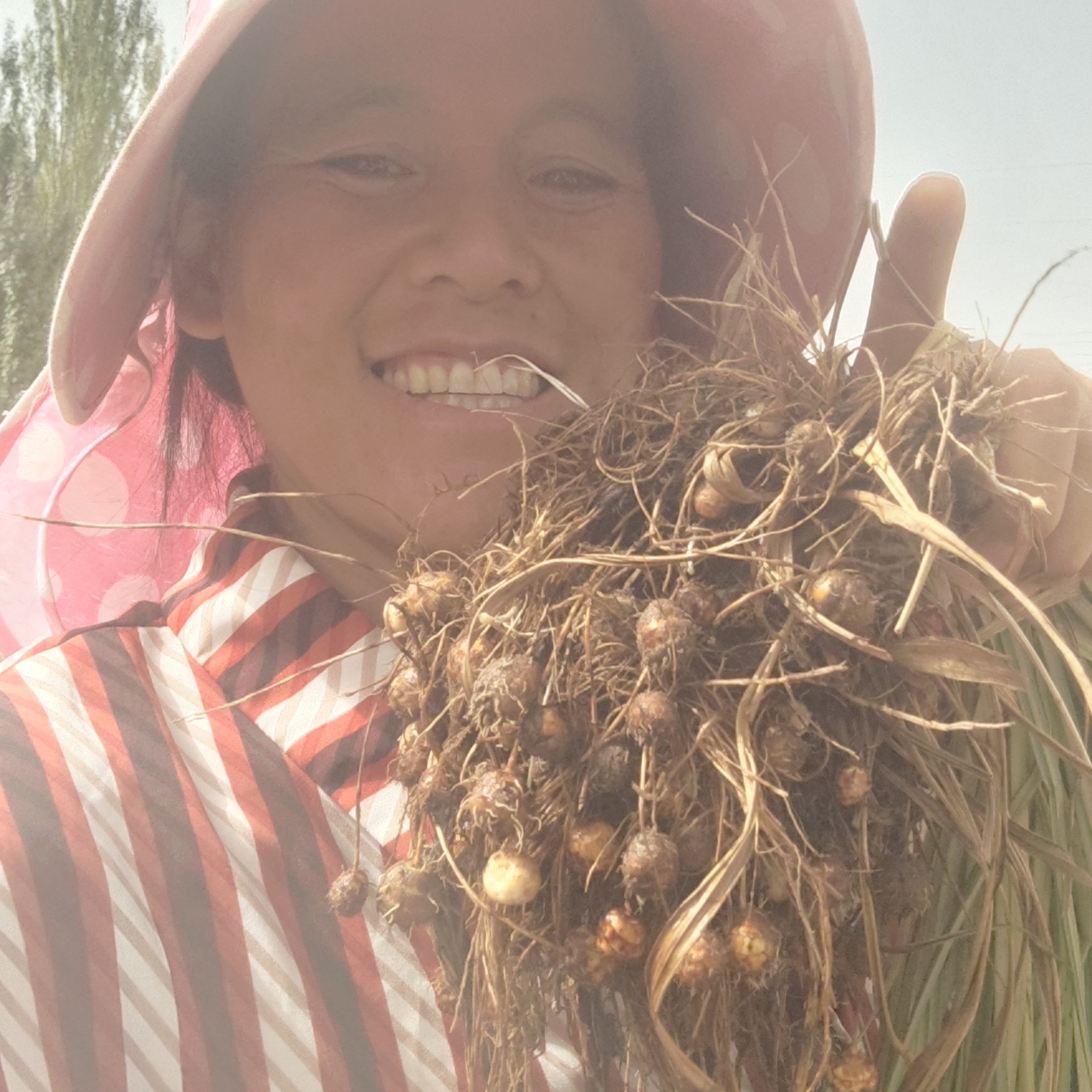 新疆带皮油沙豆虎坚果粗粮可打豆浆钓鱼