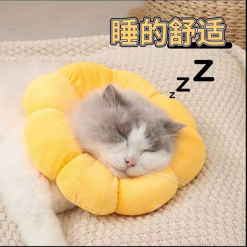 伊丽莎白圈猫绝育项圈防舔英短猫咪脖圈颈圈可吃饭头套宠物用品yw
