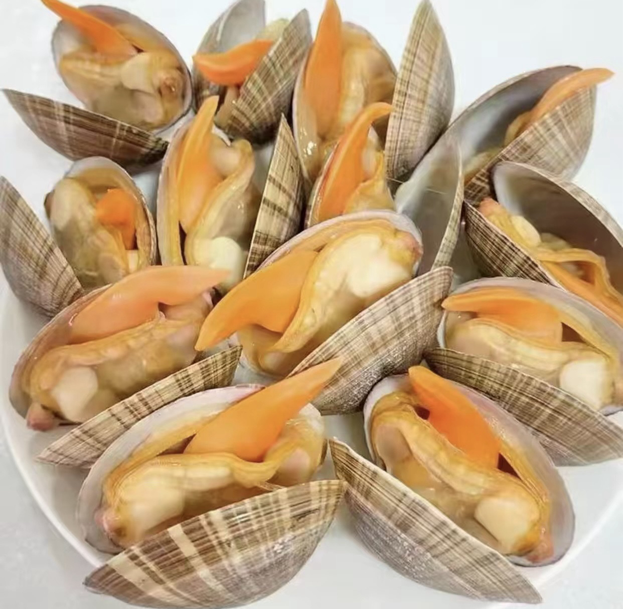 新鲜大蛤蜊黄蚬子鲜活发货深海捕捞肉质鲜嫩清蒸新鲜海鲜