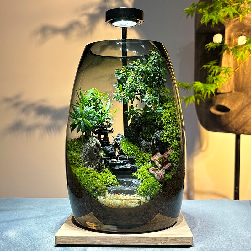 【杜鹃亭】桌面生态缸苔藓微景观生态瓶造景办公室绿植高端礼物摆件