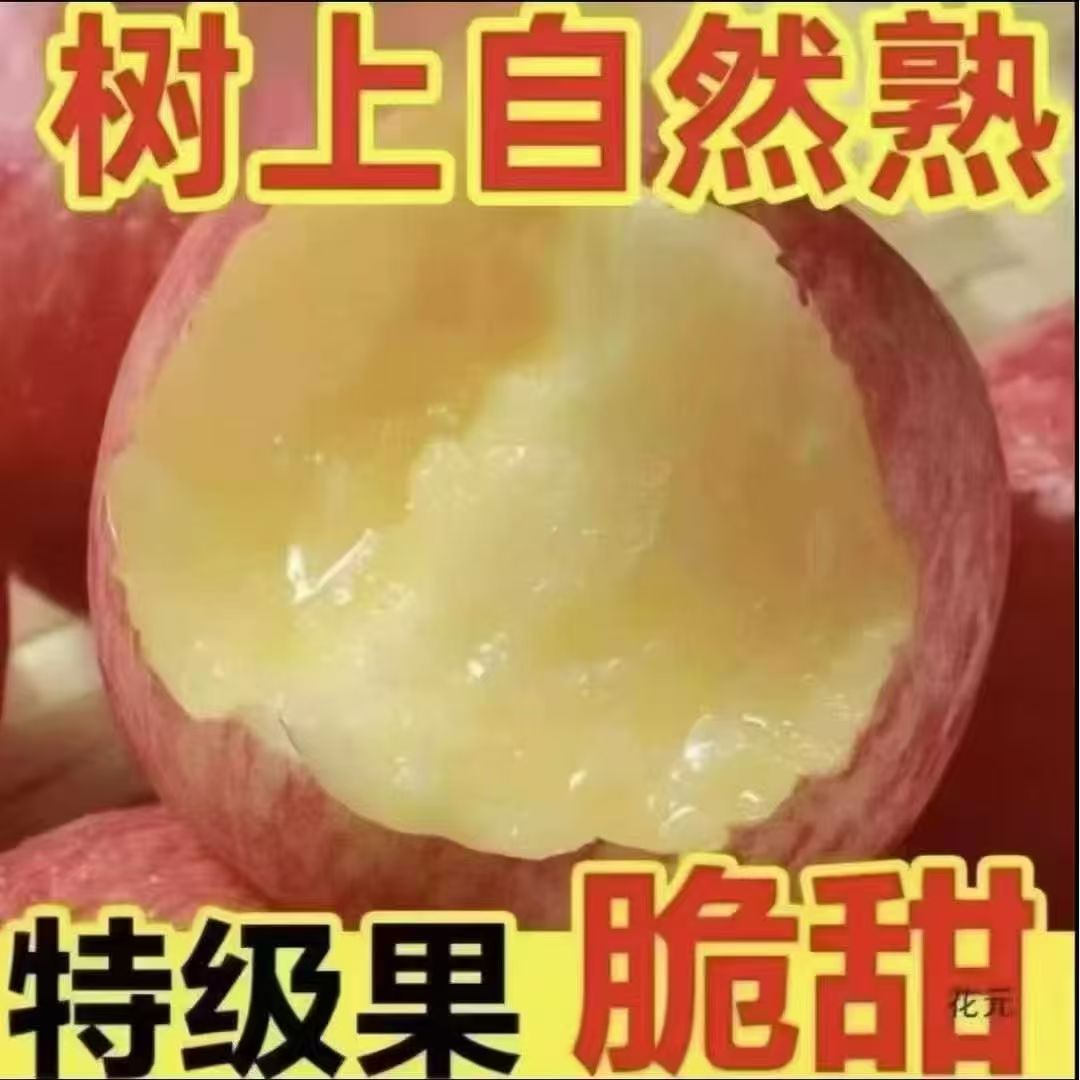 山西运城红富士苹果【带箱10斤】脆甜多汁自带冰糖心现摘现发