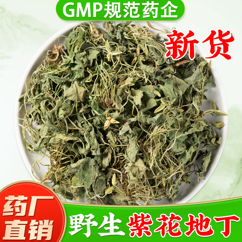 野生紫花地丁中药材旗舰店正品 新鲜干货地丁草犁头草紫花地丁茶