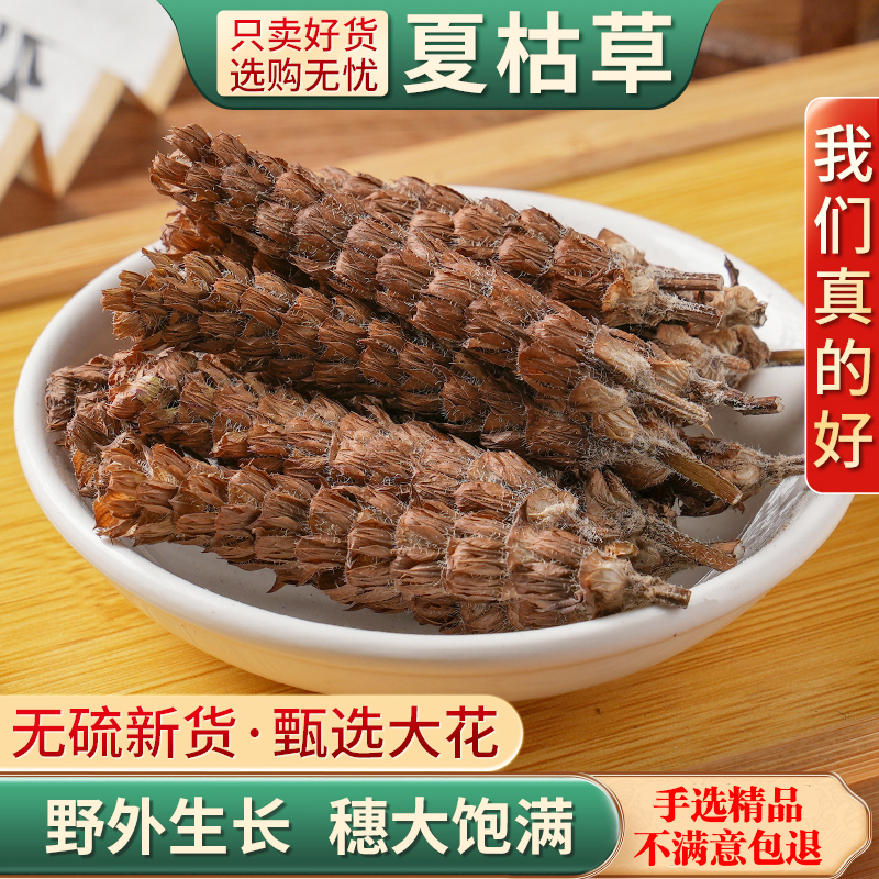 野生夏枯草白毛夏枯球泡茶泡水喝夏姑草夏菇草夏谷草新鲜中草药材