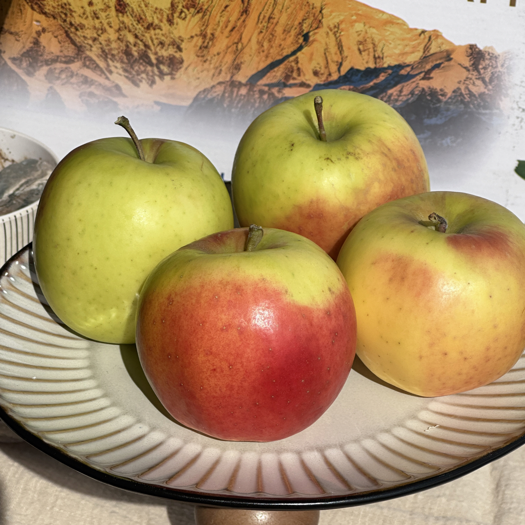 【小金瑞雪】12个或24个装最强抗氧化脆甜多汁当季新鲜现摘水果