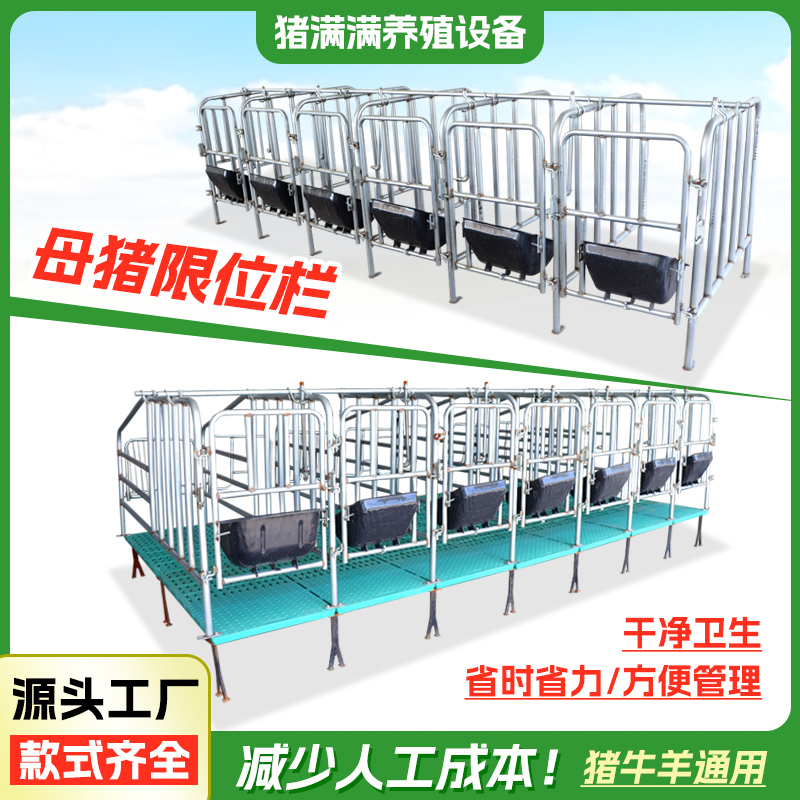 母猪定位栏猪用落地式产床围栏猪圈带漏粪板养殖设备猪产床保育床
