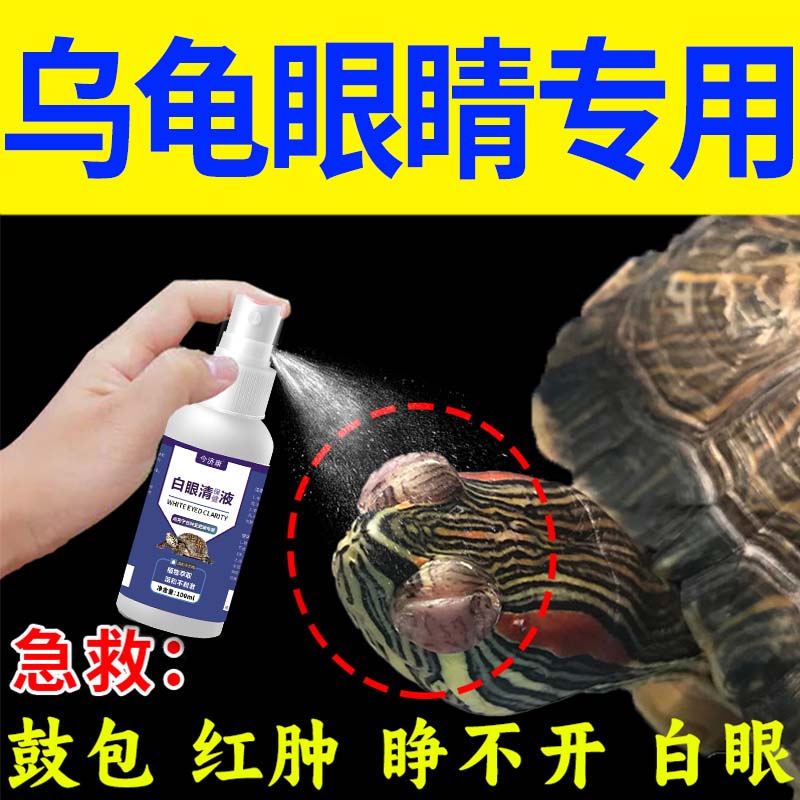 各种龟白眼蒙眼巴西草龟南石龟鼓包红肿小乌龟眼睛睁不开怎么办