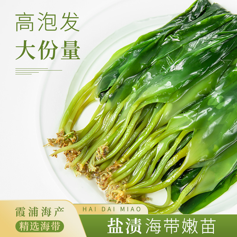 霞浦海带嫩苗头水火锅煲汤食材凉拌盐渍海带嫩苗特产海洋蔬菜