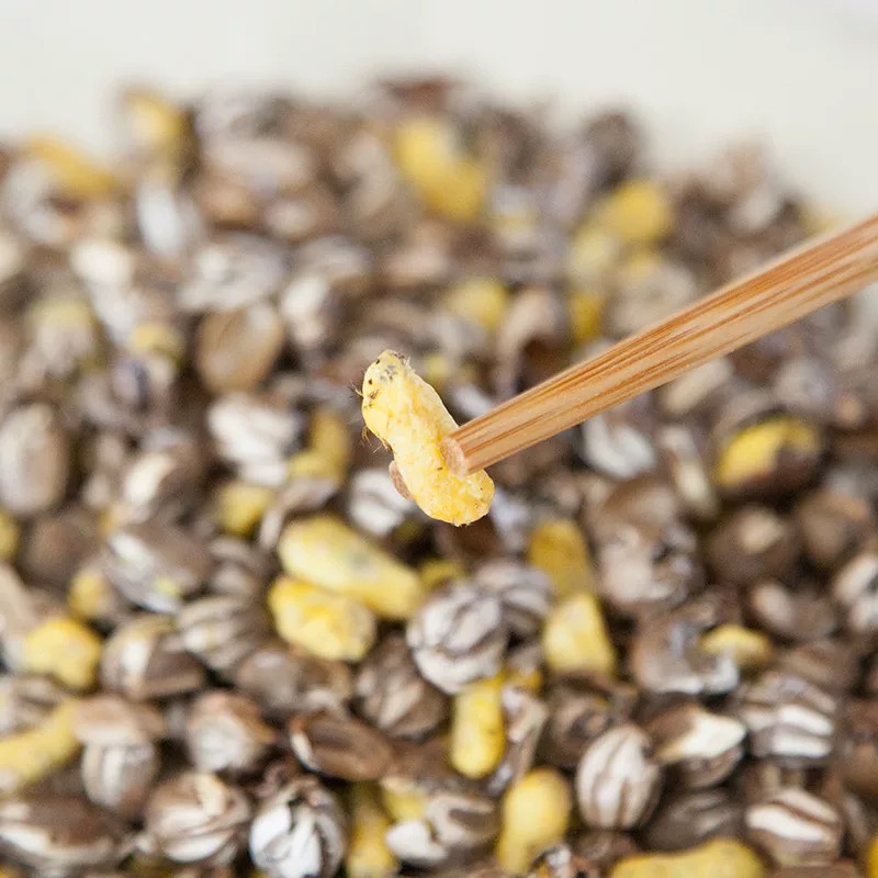 东北特产杨拉罐刺蛾洋辣子坦克虫羊喇盐爆油炸高蛋白100克起包邮