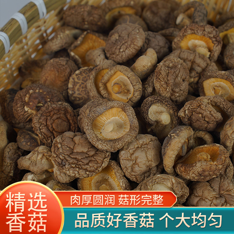 西峡干香菇优质精选款圆润厚实营养丰富煲汤添香更滋补圆润厚实