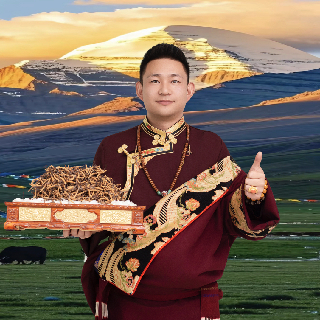 野生（3-3.5根为1克）高海拔冬虫夏草自然晾晒