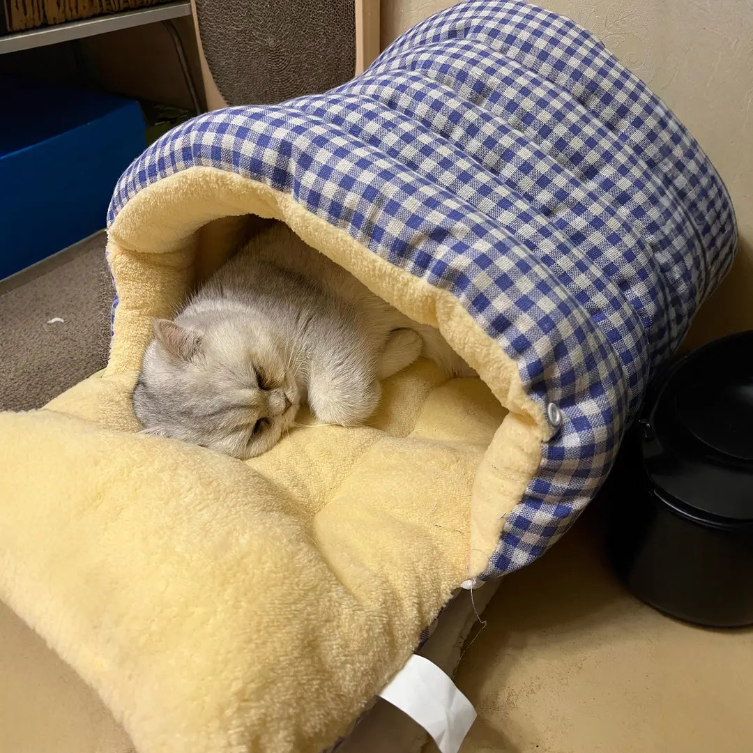 猫窝冬季保暖冬天狗窝加厚猫咪宠物垫子大型犬小狗沙发泰迪半封闭