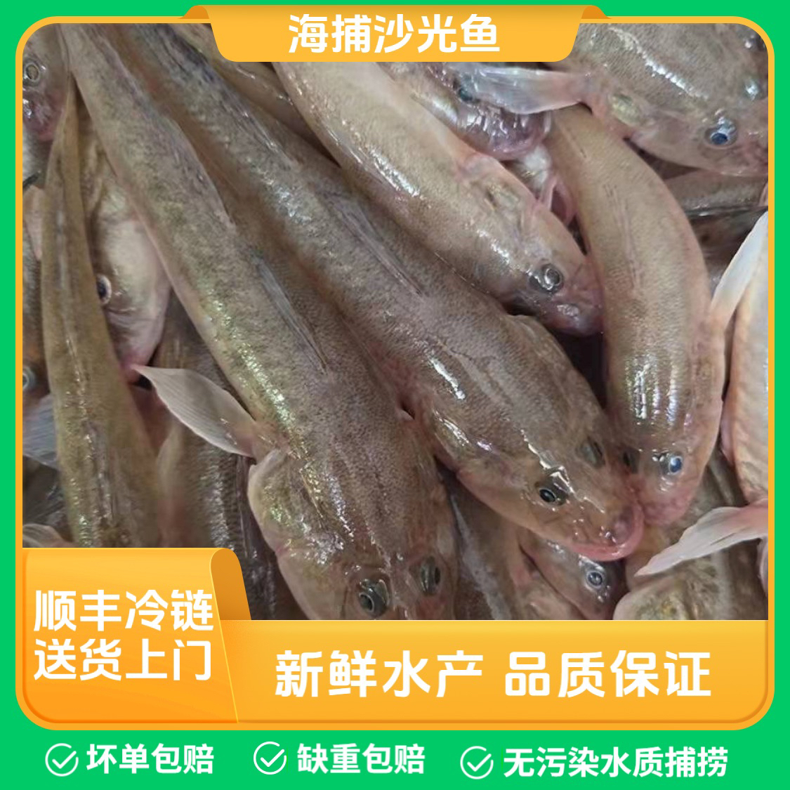 沙光鱼（泥鱼）5斤（一斤十五条左右）连云港速冻发货