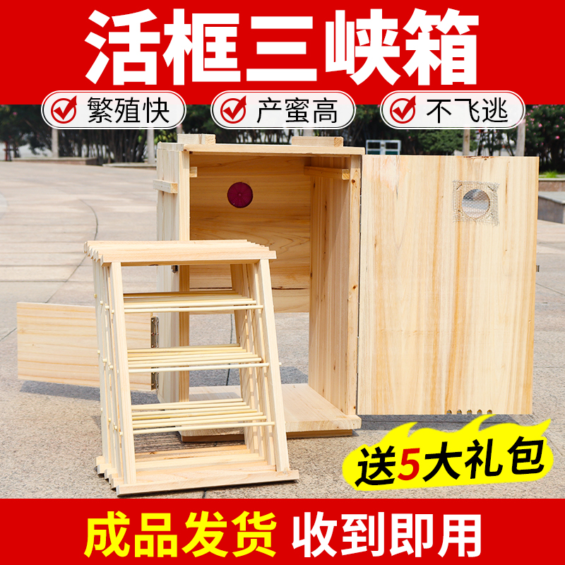 成品发货立式竖养三峡箱活框颠倒土蜂箱蜜蜂养殖蜂箱养中蜂箱厂家