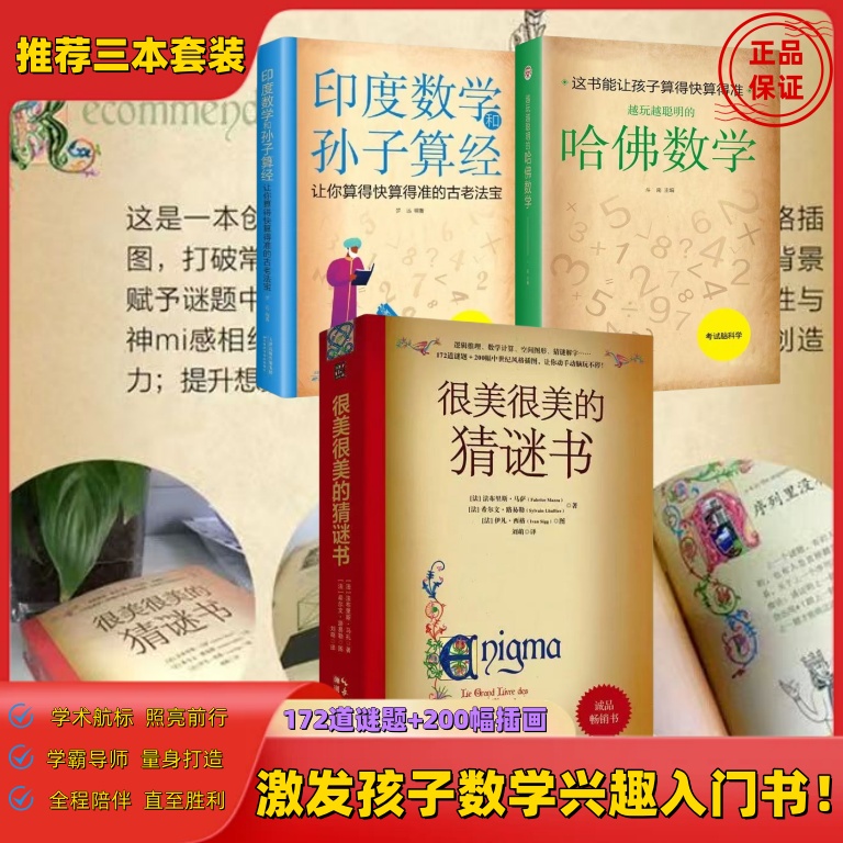 正版书籍 很美很美的猜谜书 数学思维逻辑训练书巴黎彩绘解谜手册