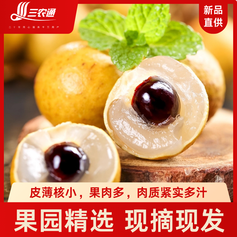 【三农通】新鲜大龙眼金标桂圆当季热带水果爆甜个大核小
