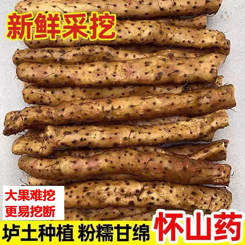 特价实惠新鲜挖断怀山药正宗河南焦作温县垆土地铁棍山药特产生鲜