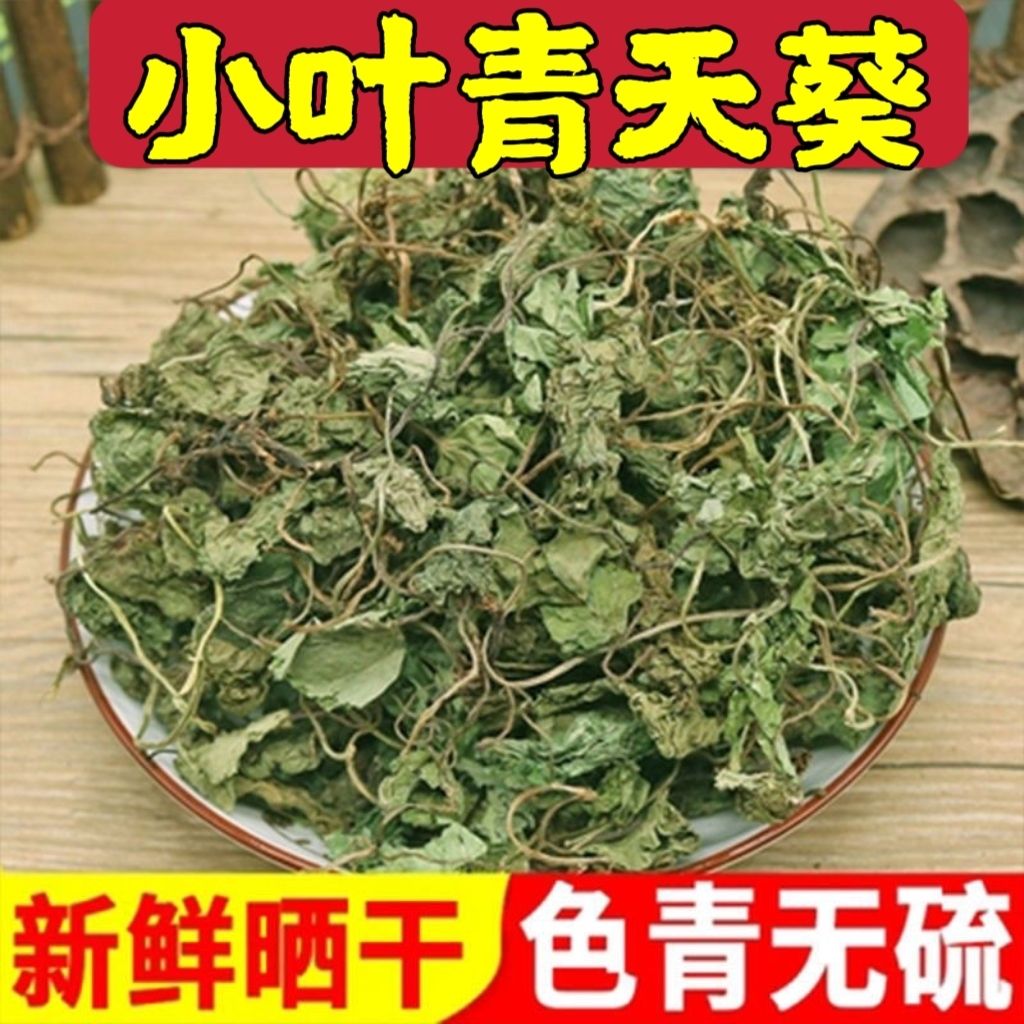 小叶青天葵无硫青绿新货半边伞