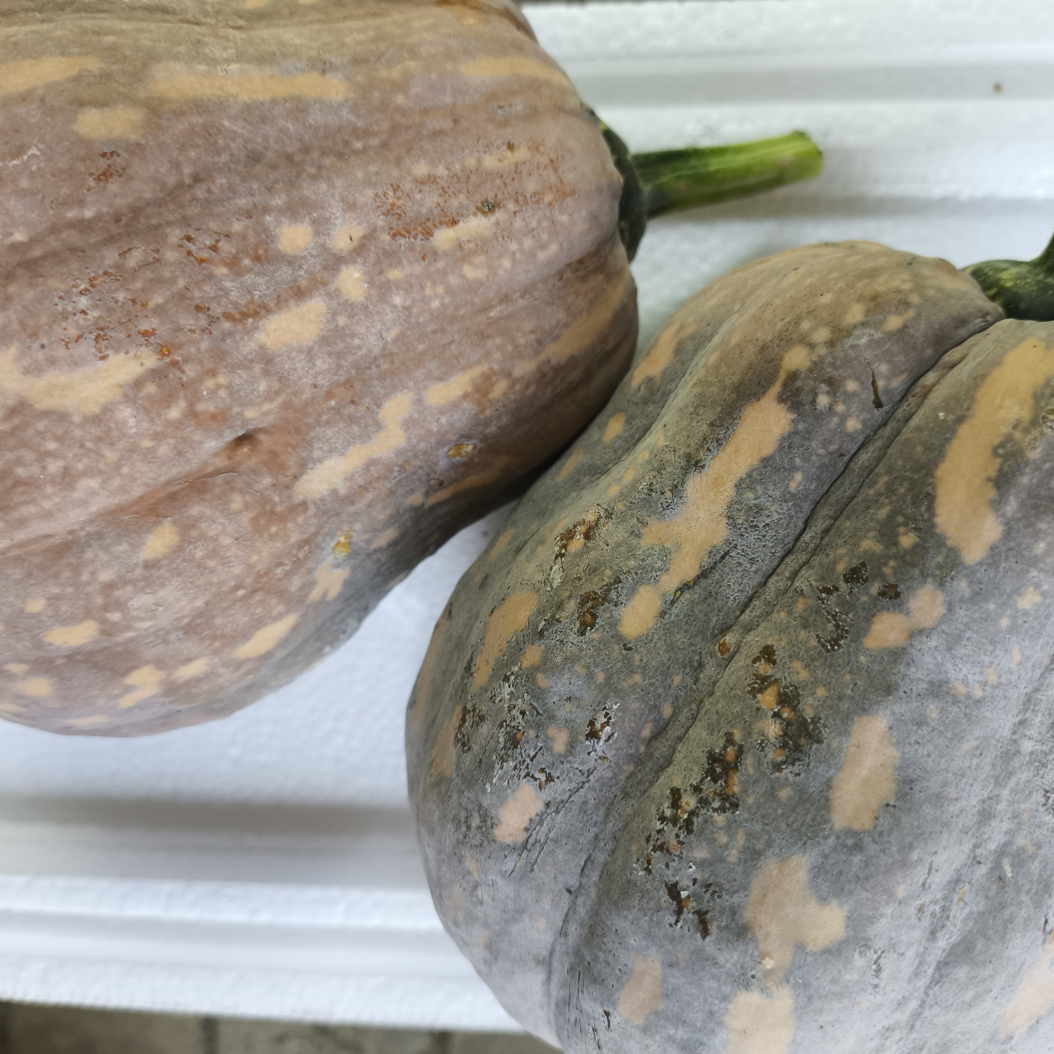 自冉香河南农家自种正宗板栗金香南瓜软面香甜贝贝老南瓜粉糯香甜