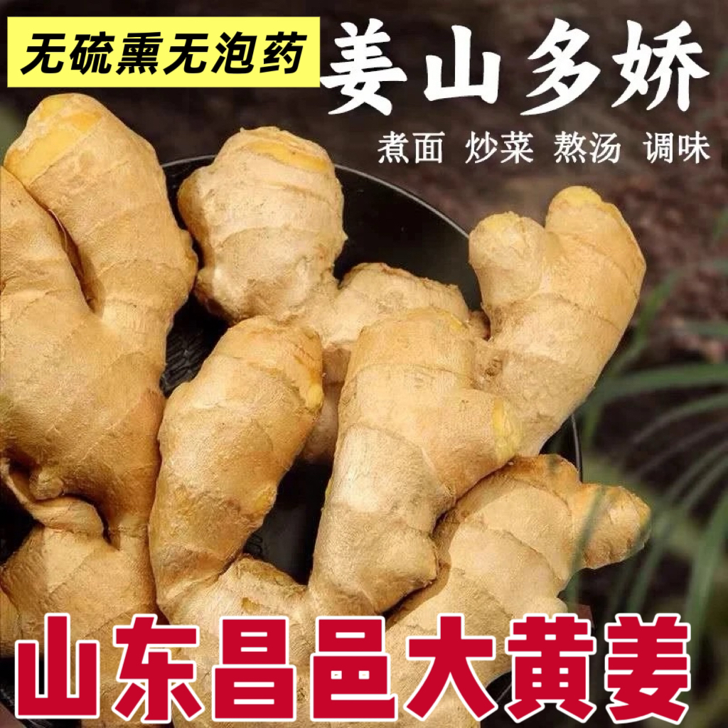 正宗山东自家种植大黄姜生姜老姜混装新鲜泥姜月子姜原产地直发