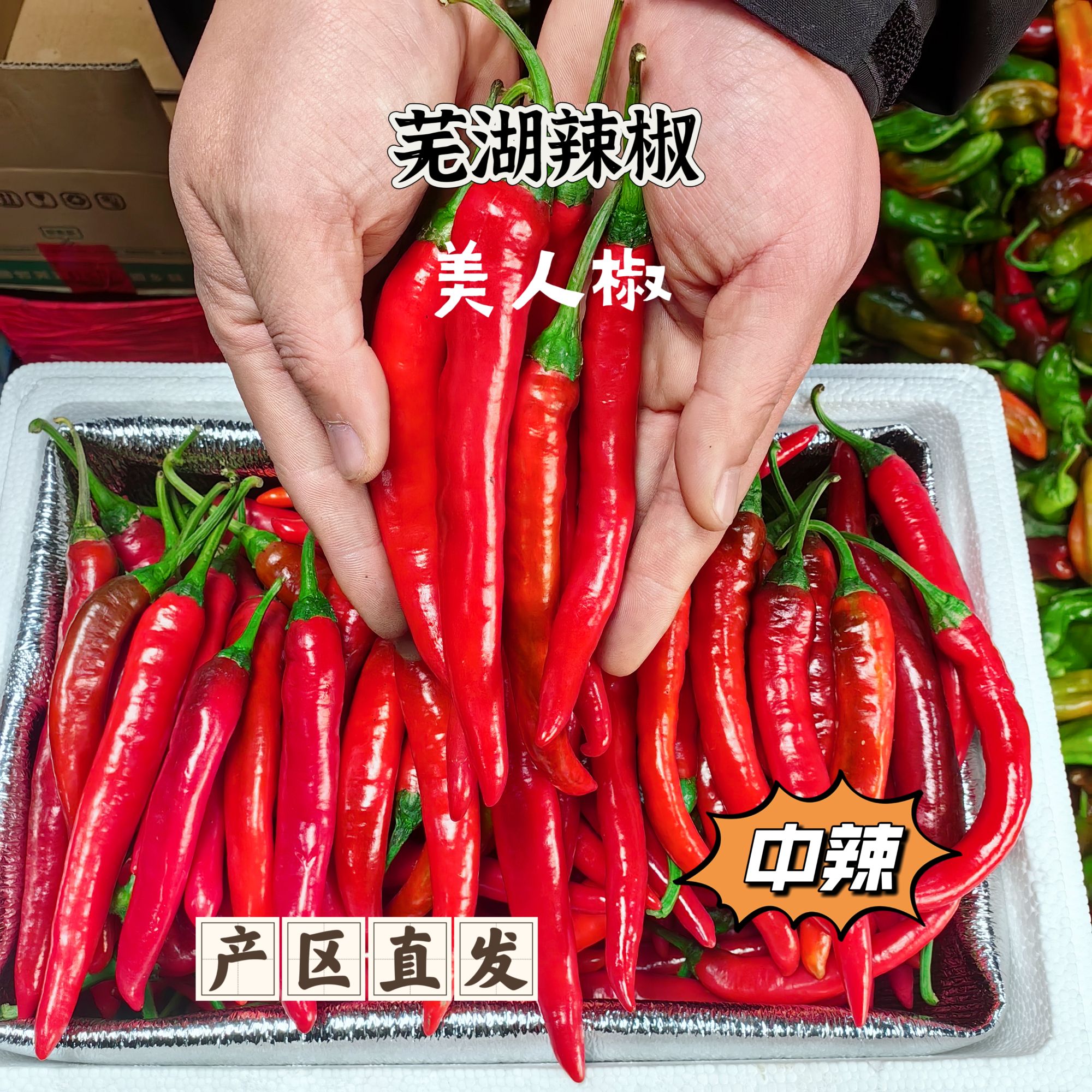 [美人椒]安徽芜湖红辣椒农户现摘中度辣较辣辣椒红辣椒