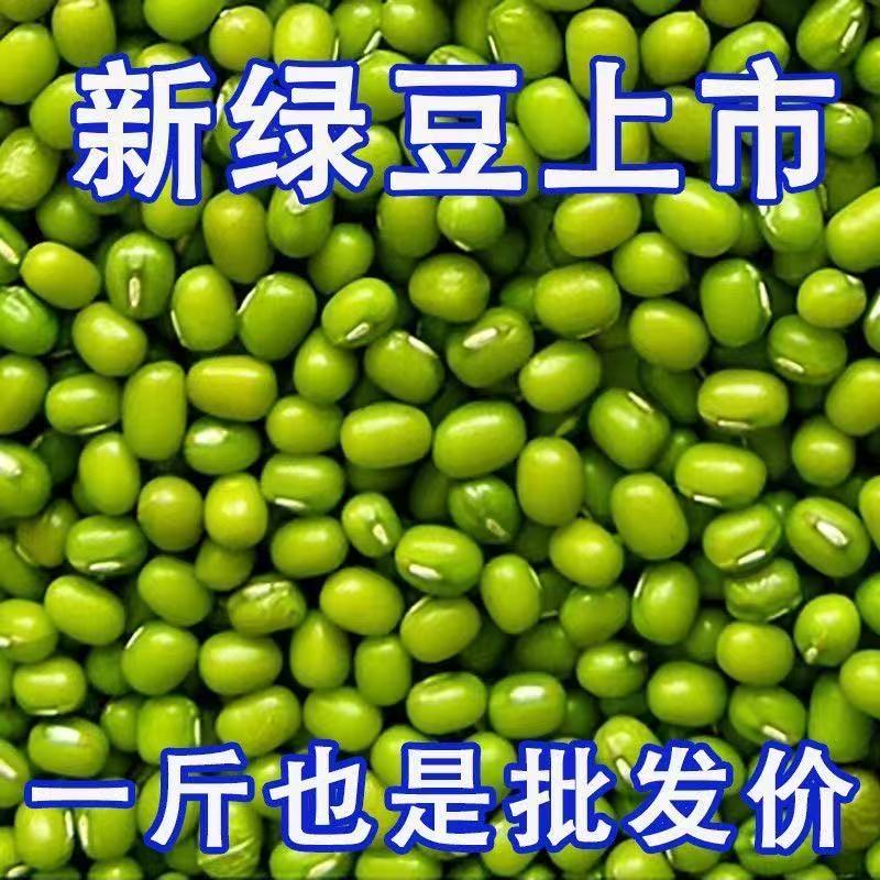 新鲜新货绿豆东北农家解暑绿豆汤绿豆粥精品豆芽五谷杂粮批发发芽